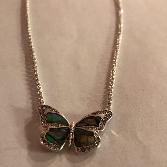 Cadena Fossil - Picture 3 of 4